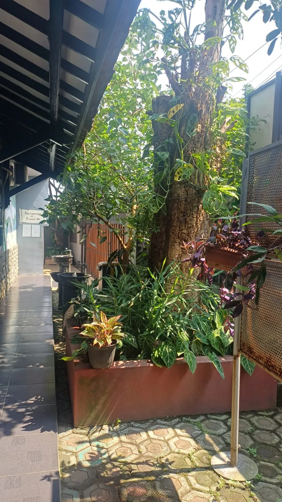 Taman